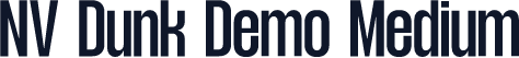 NV Dunk Demo Medium