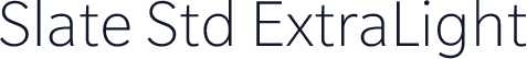 Slate Std ExtraLight