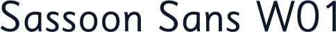 Sassoon Sans W01