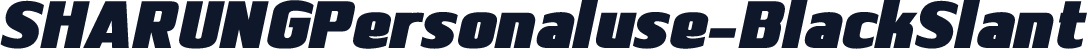 SHARUNGPersonaluse-BlackSlant