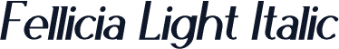 Fellicia Light Italic