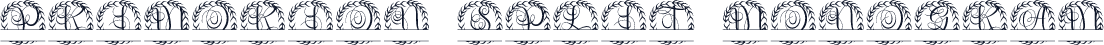 Primorion Split Monogram