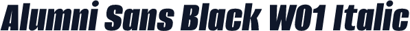 Alumni Sans Black W01 Italic