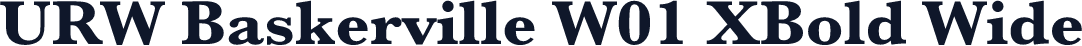 URW Baskerville W01 XBold Wide