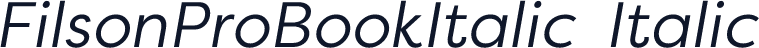 FilsonProBookItalic-Italic