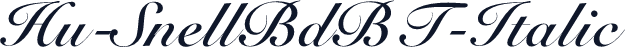 Hu-SnellBdBT-Italic