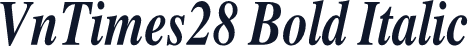 VnTimes28 Bold Italic