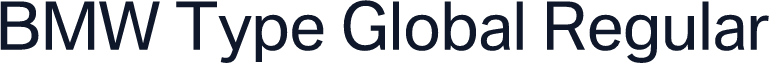 BMW Type Global Regular