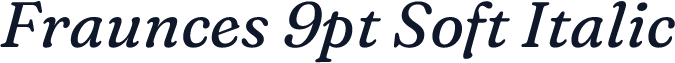 Fraunces 9pt Soft Italic