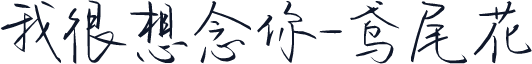 我很想念你-鸢尾花