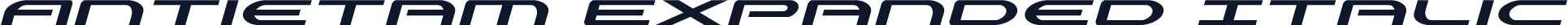Antietam Expanded Italic
