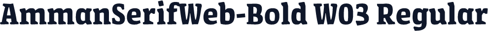 AmmanSerifWeb-Bold W03 Regular