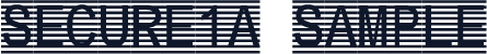 Secure1a Sample