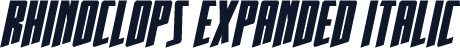 Rhinoclops Expanded Italic