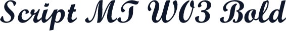 Script MT W03 Bold