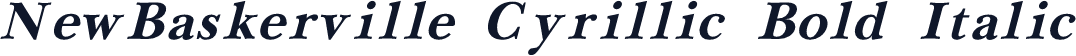 NewBaskerville Cyrillic Bold Italic