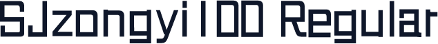 SJzongyi100 Regular