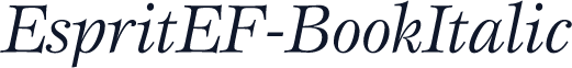 EspritEF-BookItalic