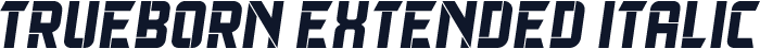 Trueborn Extended Italic