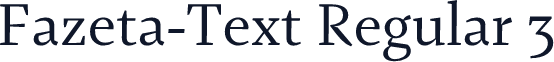 Fazeta-Text Regular 3