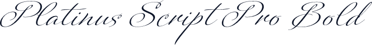 Platinus Script Pro Bold
