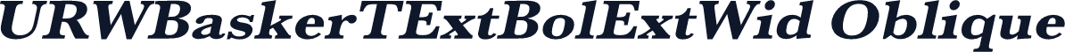 URWBaskerTExtBolExtWid Oblique