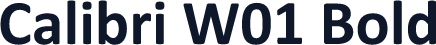 Calibri W01 Bold