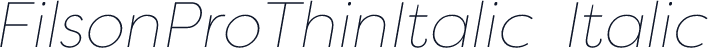 FilsonProThinItalic-Italic