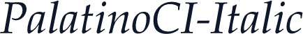 PalatinoCI-Italic