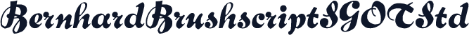 ☞BernhardBrushscriptSGOTStd