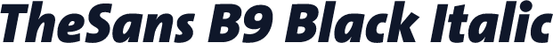 TheSans B9 Black Italic