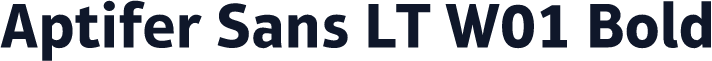 Aptifer Sans LT W01 Bold