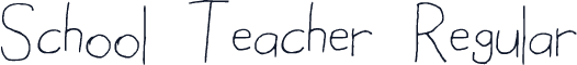 School Teacher Regular