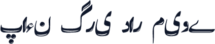 پائن گری دار میوے
