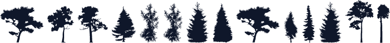 ☞FTHiddenForest