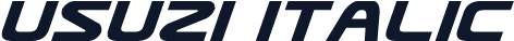 Usuzi Italic
