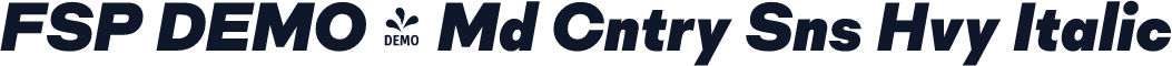 FSP DEMO - Md Cntry Sns Hvy Italic