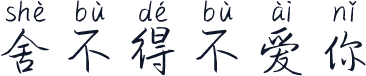 舍不得不爱你