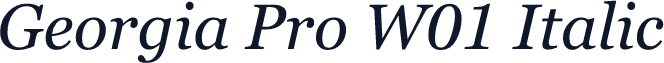 Georgia Pro W01 Italic