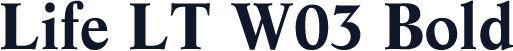 Life LT W03 Bold