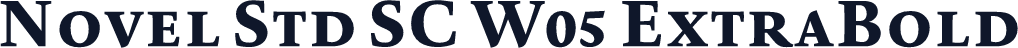Novel Std SC W05 ExtraBold