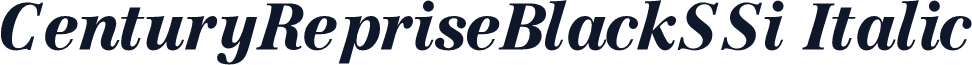 CenturyRepriseBlackSSi Italic
