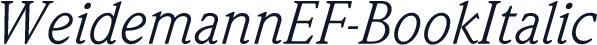 WeidemannEF-BookItalic