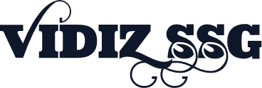 VIDIZ ssG