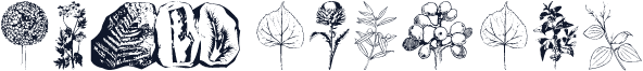 Botanicals