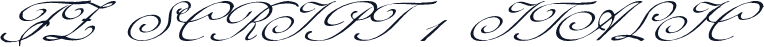 FZ SCRIPT 1 ITALIC