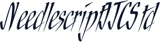 NeedlescriptITCStd