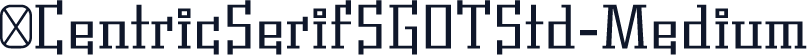 ☞CentricSerifSGOTStd-Medium