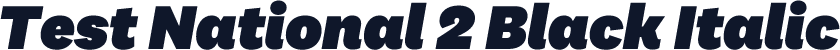 Test National 2 Black Italic