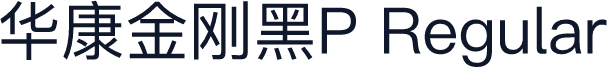 华康金刚黑P Regular